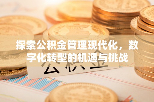 徐水探索公积金管理现代化，数字化转型的机遇与挑战