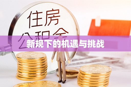 徐水新规下的机遇与挑战