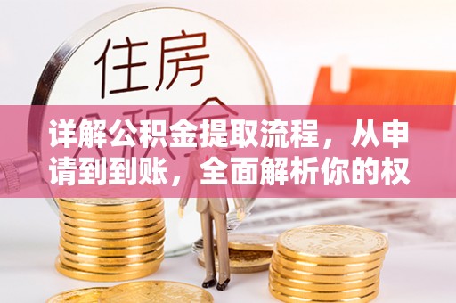 徐水详解公积金提取流程，从申请到到账，全面解析你的权益与操作步骤