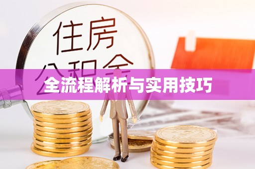 徐水全流程解析与实用技巧