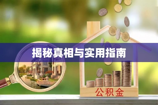 徐水揭秘真相与实用指南