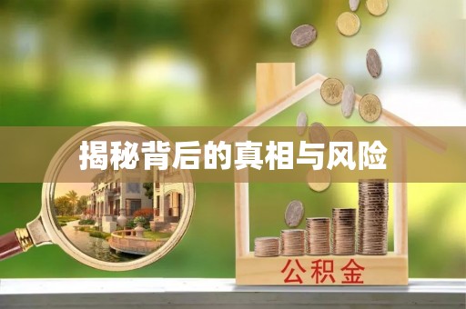 徐水揭秘背后的真相与风险