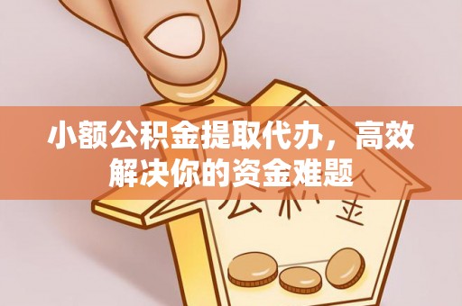 徐水小额公积金提取代办，高效解决你的资金难题