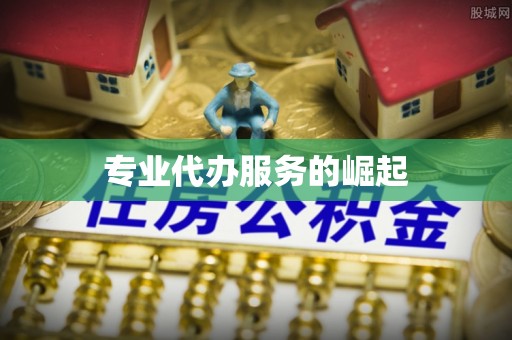 徐水专业代办服务的崛起
