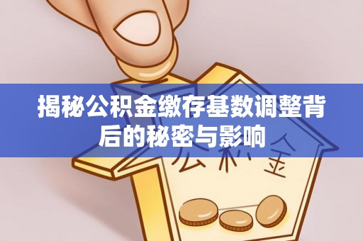 徐水揭秘公积金缴存基数调整背后的秘密与影响