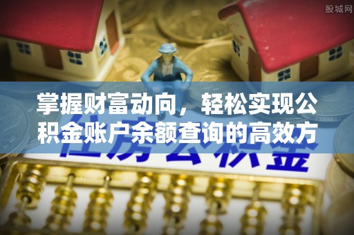 徐水掌握财富动向，轻松实现公积金账户余额查询的高效方式