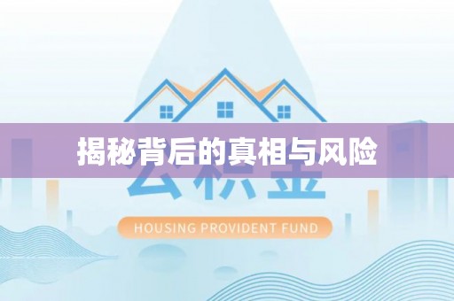 徐水揭秘背后的真相与风险