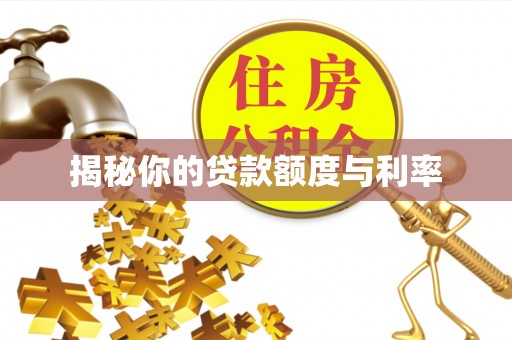 徐水揭秘你的贷款额度与利率