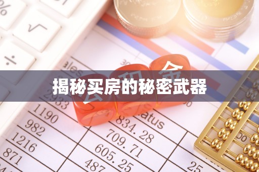 徐水揭秘买房的秘密武器
