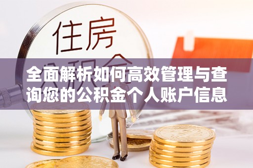 徐水全面解析如何高效管理与查询您的公积金个人账户信息