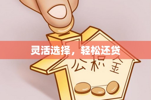 徐水灵活选择，轻松还贷