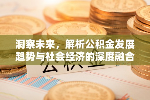 徐水洞察未来，解析公积金发展趋势与社会经济的深度融合