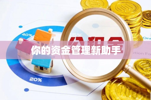 徐水你的资金管理新助手