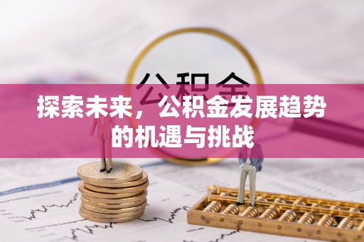 徐水探索未来，公积金发展趋势的机遇与挑战