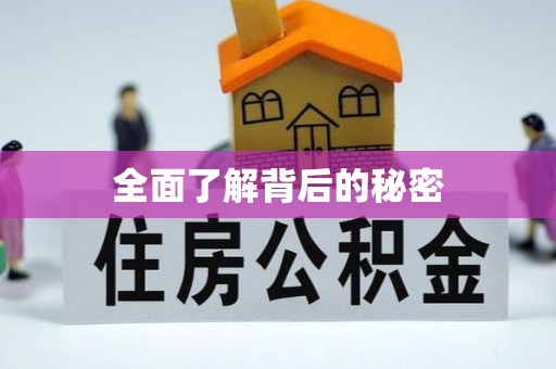 徐水全面了解背后的秘密