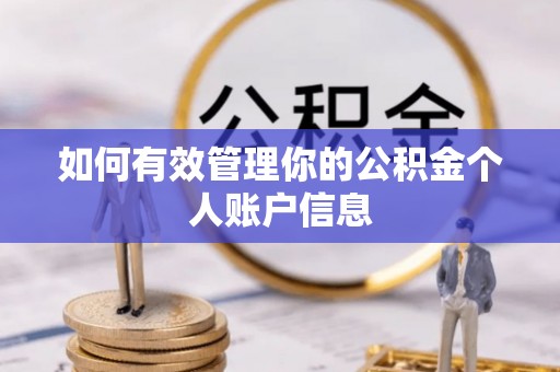 徐水如何有效管理你的公积金个人账户信息