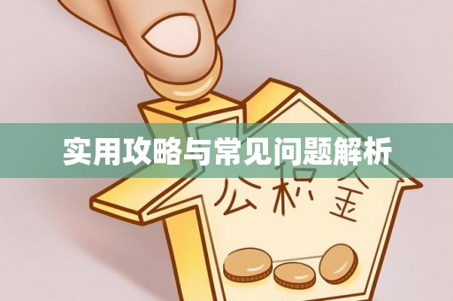 徐水实用攻略与常见问题解析
