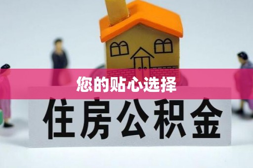 徐水您的贴心选择