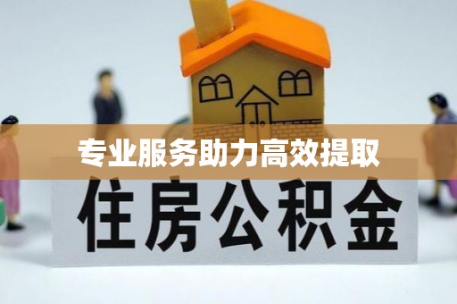 徐水专业服务助力高效提取