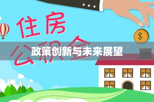 徐水政策创新与未来展望